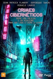 Crimes Cibernéticos