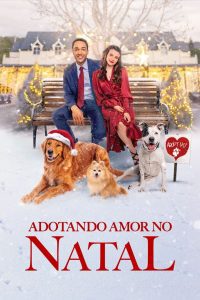 Adotando Amor no Natal